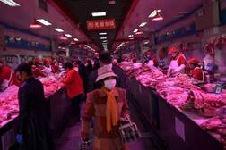 ਕੁੱਤੇ-ਬਿੱਲੀਆਂ ਦਾ ਮੀਟ ਖਾਣ ਵਾਲਿਆਂ 'ਤੇ ਸ਼ਿਕੰਜਾ