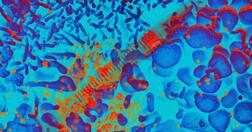 ਇੱਕ ਖੁਰਾਕ ਨਾਲ 48 ਘੰਟਿਆਂ ਵਿੱਚ ਖ਼ਤਮ ਹੋਇਆ ਕੋਰੋਨਾ! ਕਲੀਨਿਕਲ ਅਜ਼ਮਾਇਸ਼ ਦਾ ਰਾਹ ਤਿਆਰ, ਪਰਅ ਜੇ ਕਰਨਾ ਪਏਗਾ ਇੰਤਜ਼ਾਰ