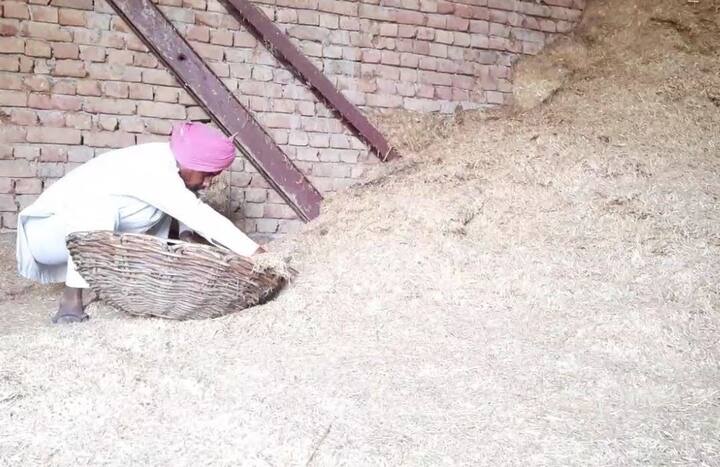 ਦੂਜੇ ਪਾਸੇ ਮੰਡੀ ਦੇ ਅਧਿਕਾਰੀਆਂ ਨੇ ਕਿਹਾ ਕਿ ਸਰਕਾਰ ਵੱਲੋਂ ਪੂਰੇ ਪ੍ਰਬੰਧ ਕਰ ਲਏ ਗਏ ਹਨ ਅਤੇ ਆਉਣ ਵਾਲੀ ਸਮੇਂ ਵਿੱਚ ਉਹ ਕਿਸਾਨਾਂ ਦੀਆਂ ਫਸਲਾਂ ਉਨ੍ਹਾਂ ਦੇ ਖੇਤ ਜਾ ਕੇ ਚੁੱਕਣਗੇ।