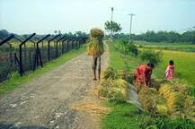 ਸਰਹਦੋਂ ਪਾਰ ਵਾਢੀ ਲਈ ਜਾਣਗੇ ਕਿਸਾਨ, ਪਰ ਕੀ ਨੇ ਉਨ੍ਹਾਂ ਦੀ ਸੁਰੱਖਿਆ ਲਈ ਇੰਤਜ਼ਾਮ ?