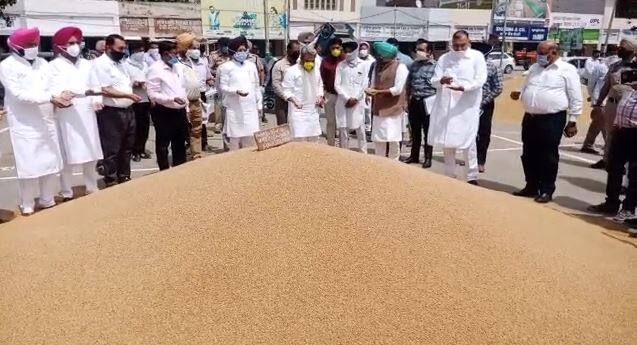 Wheat Procurement Ministers commenced procurement in Khanna ਕਣਕ ਦੀ ਖਰੀਦ ਲਈ ਮੰਡੀਆਂ 'ਚ ਨਿੱਤਰੇ ਮੰਤਰੀ, ਦਾਣਾ-ਦਾਣਾ ਖਰੀਦਿਆ ਜਾਏਗਾ