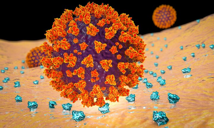 covid-19-injection-of-decoy-proteins-could-stop-the-coronavirus-infecting-cells-within-the-body ਕੋਰੋਨਾਵਾਇਰਸ ਦੇ ਇਲਾਜ ਦੀ ਨਵੀਂ ਉਮੀਦ, ‘Decoy Proteins’ ਨਾਲ ਕੋਵਿਡ-19 ਨੂੰ ਰੋਕਿਆ ਜਾ ਸਕਦਾ ?