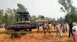 ਸਰਕਾਰ ਕੰਬਾਈਨਾਂ ਨਾਲ ਵੱਢ ਕੇ ਲੈ ਗਈ ਕਿਸਾਨਾਂ ਦੀ ਪੁੱਤਾਂ ਵਾਂਗ ਪਾਲੀ ਫਸਲ