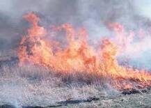 ਸੂਬਾ ਸਰਕਾਰ ਨੇ ਕਿਸਾਨਾਂ ਲਈ ਜਾਰੀ ਕੀਤੀਆਂ ਹਦਾਇਤਾਂ, ਨਾੜ ਸਾੜਨ ਨੂੰ ਰੋਕਣ ਲਈ ਚੁੱਕੇ ਜਾਣਗੇ ਸਖਤ ਕਦਮ