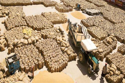 ਪੰਜਾਬ ਦੀਆਂ ਮੰਡੀਆਂ 'ਚ ਕੈਪਟਨ ਦੇ ਪ੍ਰਬੰਧ ਫੇਲ੍ਹ, ਕਿਸਾਨਾਂ ਤੇ ਆੜ੍ਹਤੀਆਂ ਸਾਹਮਣੇ ਖੜ੍ਹੀ ਵੱਡੀ ਮੁਸੀਬਤ wheat procurement is delaying in punjab due to non availability of labour as it is corona lockdown ਪੰਜਾਬ ਦੀਆਂ ਮੰਡੀਆਂ 'ਚ ਕੈਪਟਨ ਦੇ ਪ੍ਰਬੰਧ ਫੇਲ੍ਹ, ਕਿਸਾਨਾਂ ਤੇ ਆੜ੍ਹਤੀਆਂ ਸਾਹਮਣੇ ਖੜ੍ਹੀ ਵੱਡੀ ਮੁਸੀਬਤ