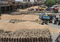 'ਆਪ' ਨੇ ਕਣਕ ਦੀ ਸਮੇਂ ਸਿਰ ਅਦਾਇਗੀ ਨਾ ਹੋਣ ‘ਤੇ ਚੁੱਕੇ ਸਵਾਲ, ਮੰਡੀਆਂ ਦੀ ਬਦਹਾਲੀ ਲਈ ਸਰਕਾਰ ਨੂੰ ਠਹਿਰਾਇਆ ਜ਼ਿੰਮੇਵਾਰ