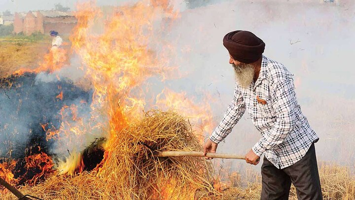 Nodal Officers will be appointed to control stubble burning in Punjab