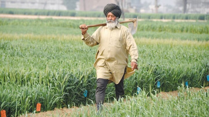 Health Insurance Scheme for 9.5 lakh Farmer Families of Punjab, Applications Requested till 24th July ਪੰਜਾਬ ਦੇ 9.5 ਲੱਖ ਕਿਸਾਨ ਪਰਿਵਾਰਾਂ ਲਈ ਸਿਹਤ ਬੀਮਾ ਯੋਜਨਾ, 24 ਜੁਲਾਈ ਤੱਕ ਮੰਗੀਆਂ ਅਰਜ਼ੀਆਂ
