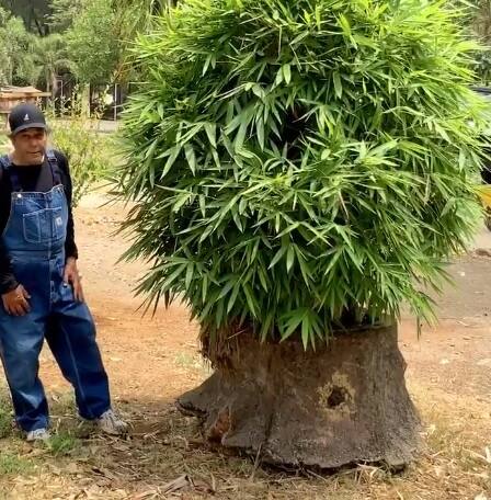 ਧਰਮਿੰਦਰ ਨੇ ਸ਼ੇਅਰ ਕੀਤੀ ਰੌਚਕ ਵੀਡੀਓ, ਲੌਕਡਾਊਨ 'ਚ ਇੰਜ ਬਿਤਾ ਰਹੇ ਸਮਾਂ Bollywood actor Dharmendra share video on twitter in lockdown ਧਰਮਿੰਦਰ ਨੇ ਸ਼ੇਅਰ ਕੀਤੀ ਰੌਚਕ ਵੀਡੀਓ, ਲੌਕਡਾਊਨ 'ਚ ਇੰਜ ਬਿਤਾ ਰਹੇ ਸਮਾਂ