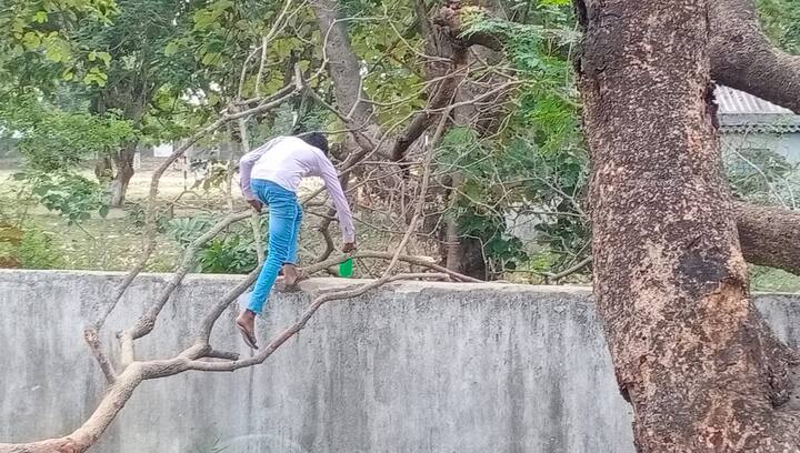  ਪਿੰਡ ਵਾਸੀਆਂ ਵਿੱਚ ਇਹ ਡਰ ਵੀ ਬਹੁਤ ਹੈ ਕਿ ਕੋਰੋਨਾ ਦੀ ਲਾਗ ਪੂਰੇ ਪਿੰਡ ਵਿੱਚ ਨਾ ਫੈਲ ਜਾਵੇ।