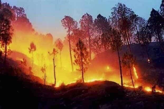 UT Forest Fire, pray for uttarakhand trending on social media ਉੱਤਰਾਖੰਡ 'ਚ ਜੰਗਲੀ ਅੱਗ ਹੋ ਰਹੀ ਬੇਕਾਬੂ, ਸੋਸ਼ਲ ਮੀਡੀਆ 'ਤੇ ਤਸਵੀਰਾਂ ਕਰ ਰਹੀਆਂ ਟ੍ਰੈਂਡ