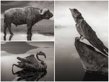 ਦੁਨੀਆ ਦੇ ਇਸ ਦੇਸ਼ ‘ਚ ਹੈ ਇੱਕ ਝੀਲ ਜਿਸ ‘ਚ ਜੋ ਵੀ ਗਿਆ ਬਣ ਗਿਆ ‘ਪੱਥਰ’