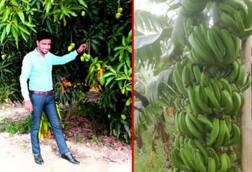 Successful farmers: ਲੱਖਾਂ ਰੁਪਏ ਕਮਾਉਣ ਵਾਲੇ ਇਸ ਕਿਸਾਨ ਤੋਂ ਪੁੱਛੋ ਕਿਵੇਂ ਕਰੀਏ ਖੇਤੀ?