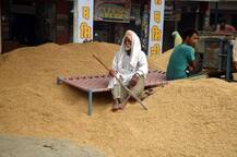 ਕਿਸਾਨਾਂ ਨੂੰ ਵੱਡਾ ਝਟਕਾ! ਡੀਜ਼ਲ ਤੇ ਮਜ਼ਦੂਰੀ ਦੇ ਵਧੇ ਭਾਅ ਦੀ ਦੋਹਰੀ ਮਾਰ, ਕੀ ਫ਼ਸਲ ਦਾ ਚੰਗਾ ਮੁੱਲ ਦੇਵੇਗੀ ਸਰਕਾਰ?