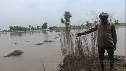 ਨਹਿਰ ਵਿੱਚ ਪਿਆ ਪਾੜ, ਕਈ ਏਕੜ ਫਸਲ ਹੋਈ ਤਬਾਹ