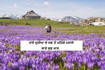 Most Expensive Spice: ਦੁਨੀਆ ਦਾ ਸਭ ਤੋਂ ਮਹਿੰਗਾ ਮਸਾਲਾ, ਇੱਕ ਕਿੱਲੋ ਤਾਂ ਸ਼ਾਇਦ ਹੀ ਕੋਈ ਖਰੀਦ ਪਾਵੇ