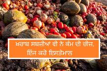 ਖਰਾਬ ਸਬਜ਼ੀਆਂ ਤੋਂ ਹੋ ਰਹੀ ਹੈ ਲੱਖਾਂ ਦੀ ਕਮਾਈ, ਜਾਣੋ ਕਿੱਥੇ ਕੀਤਾ ਇਹ ਅਨੌਖਾ ਪ੍ਰਯੋਗ