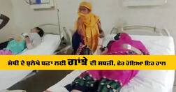 ਮੇਥੀ ਦੇ ਭੁਲੇਖੇ ਬਣਾ ਲਈ ਗਾਂਝੇ ਦੀ ਸਬਜ਼ੀ, ਪੂਰੇ ਪਰਿਵਾਰ ਦਾ ਹੋਇਆ ਇਹ ਹਾਲ