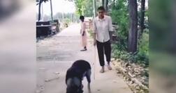ਜਦੋਂ ਕੁੱਤੇ ਨੇ ਪੇਸ਼ ਕੀਤੀ ਮਾਨਵਤਾ ਦੀ ਮਿਸਾਲ, ਵੀਡੀਓ ਦੇਖ ਲੋਕਾਂ ਨੇ ਕੀਤੀ ਤਾਰੀਫ