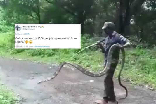 15-foot-tall King Cobra terrorizes village, goes viral on social media 15 ਫੁੱਟ ਲੰਬੇ ਕਿੰਗ ਕੋਬਰਾ ਨੇ ਪਿੰਡ 'ਚ ਮਚਾਈ ਦਹਿਸ਼ਤ, ਸੋਸ਼ਲ ਮੀਡੀਆ 'ਤੇ ਵਾਇਰਲ