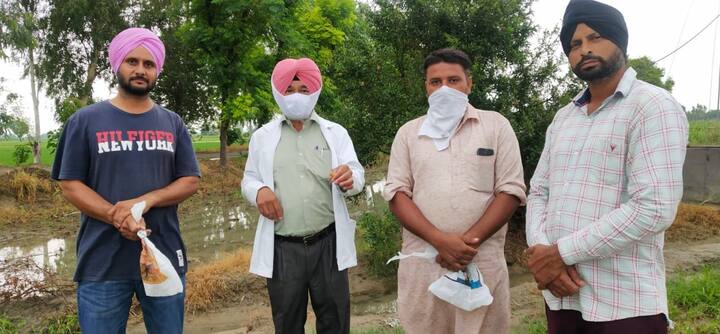 ਇਸ ਤੋਂ ਬਾਅਦ ਹੁਣ  ਮੁੱਖ ਖੇਤੀਬਾੜੀ ਅਫਸਰ ਬਰਨਾਲਾ ਬਲਦੇਵ ਸਿੰਘ  ਨੇ ਕਿਸਾਨਾਂ ਨੂੰ ਅਲਰਟ ਕਰਦਿਆਂ ਬਿਆਨ ਜਾਰੀ ਕਰਦਿਆਂ ਕਿਹਾ ਹੈ ਕਿ ਬਰਨਾਲਾ ਜ਼ਿਲ੍ਹੇ ਦੇ ਦੋ ਪਿੰਡਾਂ ਪੱਖੋ ਕਲਾਂ ਤੇ ਕਾਹਨੇਕੇ ਵਿੱਚ ਅੰਸ਼ਕ ਰੂਪ ਟਿੱਡੀ ਦਲ ਦੇ ਗਿਣਤੀ ਦੇ ਬਾਲਗ ਮਿਲੇ ਹਨ।