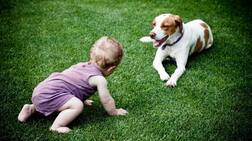 ਭੈਣ ਨੂੰ ਬਚਾਉਣ ਲਈ 6 ਸਾਲਾ ਮੁੰਡਾ ਕੁੱਤੇ ਨਾਲ ਭਿੜਿਆ, ਮੁੰਹ ਤੇ ਲੱਗੇ 90 ਟਾਂਕੇ, ਹੁਣ ਮਿਲਿਆ ਇਹ ਖਿਤਾਬ