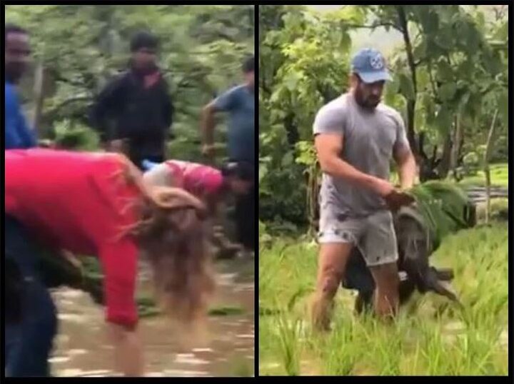 Salman Khan Paddy planting with girlfriend, watch the video here ਸਲਮਾਨ ਖਾਨ ਗਰਲਫ੍ਰੈਂਡ ਨਾਲ ਲਗਾ ਰਹੇ ਝੋਨਾ, ਇਥੇ ਦੇਖੋ ਵੀਡੀਓ 