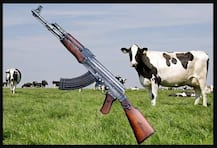 AK47 ਬਦਲੇ ਮਿਲ ਰਹੀਆਂ ਇੱਕ ਜੋੜੀ ਗਾਵਾਂ, ਜਾਣੋ ਕੀ ਹੈ ਪੂਰਾ ਮਾਮਲਾ