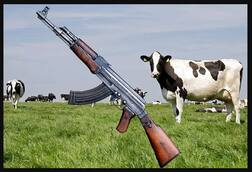 AK47 ਬਦਲੇ ਮਿਲ ਰਹੀਆਂ ਇੱਕ ਜੋੜੀ ਗਾਵਾਂ, ਜਾਣੋ ਕੀ ਹੈ ਪੂਰਾ ਮਾਮਲਾ