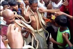 ਇਸ ਇਲਾਕੇ 'ਚ ਲਗਦਾ ਸੱਪਾਂ ਦਾ ਮੇਲਾ, ਬੱਚੇ ਖਿਡੌਣਿਆਂ ਵਾਂਗ ਸਮਝਦੇ ਸੱਪਾਂ ਨੂੰ 