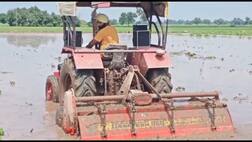 ਖੇਤਾਂ 'ਚ ਭਰਿਆ ਮੀਂਹ ਦਾ ਪਾਣੀ, ਡੁੱਬੀ ਲੱਖਾਂ ਰੁਪਏ ਦੀ ਨਰਮੇ ਦੀ ਫਸਲ