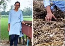 ਵਰਮੀ ਕੰਪੋਸਟ ਬਣਾ ਪਾਇਲ ਕਰ ਰਹੀ ਲੱਖਾਂ ਰੁਪਇਆ ਦਾ ਕਾਰੋਬਾਰ, ਜਾਣੋ ਉਸਦੀ ਕਾਮਯਾਬੀ ਦੀ ਕਹਾਣੀ