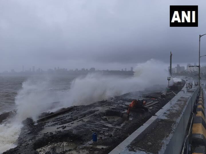 ਐਨਡੀਆਰਐਫ ਤੇ ਰੇਲਵੇ ਅਧਿਕਾਰੀਆਂ ਨੇ ਦੋ ਲੋਕਲ ਟ੍ਰੇਨਾਂ ਦੇ ਜ਼ਰੀਏ ਸੀਐਸਐਮਟੀ ਤੇ ਸੈਂਡਹਸਰਟ ਰੋਡ ਸਟੇਸ਼ਨਾਂ ਵਿੱਚ ਫਸੇ 500 ਯਾਤਰੀਆਂ ਨੂੰ ਸੁਰੱਖਿਅਤ ਬਾਹਰ ਕੱਢਿਆ ਗਿਆ। ਚਰਚ ਗੇਟ ਤੇ ਮੁੰਬਈ ਸੈਂਟਰਲ ਸਟੇਸ਼ਨ ਵਿੱਚ ਪਟੜੀਆਂ ਤੇ ਪਾਣੀ ਭਰਨ ਕਾਰਨ ਰੱਦ ਕਰ ਦਿੱਤਾ ਗਿਆ।