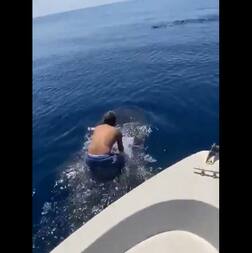 ਸਮੁੰਦਰ 'ਚ ਵੇਲ੍ਹ ਮੱਛੀ ਨਾਲ ਬੇਖੌਫ ਅਠਖੇਲੀਆਂ ਕਰਦਾ ਇਹ ਸ਼ਖ਼ਸ, ਦੇਖੋ ਵੀਡੀਓ