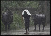 Delhi Rains: ਦਿੱਲੀ 'ਚ ਵਰ੍ਹਿਆ ਕੜਾਕੇਦਾਰ ਮੀਂਹ, ਕਿਸੇ ਦੀਆਂ ਮੌਜਾਂ ਤੇ ਕਿਸੇ ਲਈ ਸਿਆਪਾ