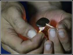 Dangerous Drugs: ਦੁਨੀਆ ਦੇ ਸਭ ਤੋਂ ਖ਼ਤਰਨਾਕ ਨਸ਼ੀਲੇ ਪਦਾਰਥ, ਭੁੱਲ ਕੇ ਵੀ ਨਾ ਜਾਇਓ ਨੇੜੇ 