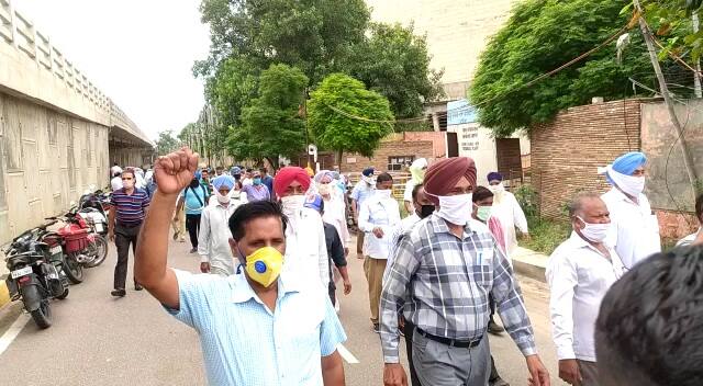  ਕਰਮਚਾਰੀਆਂ ਨੇ ਹੱਥਾਂ ਵਿੱਚ ਕਾਲੀਆਂ ਝੰਡੀਆਂ ਫੜ੍ਹ ਕੇ ਊਠ 'ਤੇ ਬੈਠ ਕੇ ਚੋਣਾਂ 'ਚ ਕੀਤੇ ਝੂਠੇ ਵਾਅਦਿਆਂ ਦੀ ਪੰਡ ਨੂੰ ਸਾੜਿਆ।