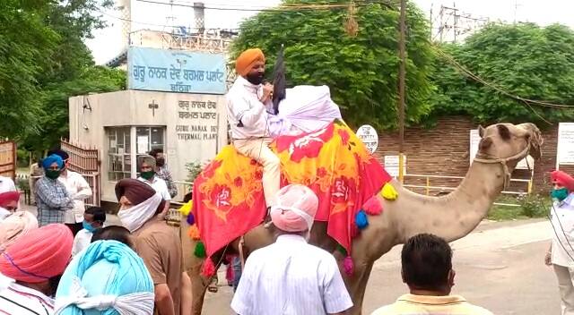ਬਠਿੰਡਾ: ਥਰਮਲ ਪਲਾਟ ਦੇ ਕਰਮਚਾਰੀਆਂ ਵੱਲੋਂ ਪੰਜਾਬ ਸਰਕਾਰ ਵੱਲੋਂ ਚੋਣਾਂ 'ਚ ਕੀਤੇ ਵਾਅਦੇ ਨਾ ਪਗਾਉਣ 'ਤੇ ਵਿਲੱਖਣ ਢੰਗ ਨਾਲ ਪ੍ਰਦਰਸ਼ਨ ਕੀਤਾ ਗਿਆ।
