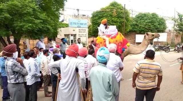 ਪ੍ਰਦਰਸ਼ਨਕਾਰੀਆਂ ਨੇ ਕਿਹਾ ਸਾਡੀ ਧਰਤੀ 'ਤੇ ਖੜ੍ਹਿਆਂ ਦੀ ਗੱਲ ਨਹੀਂ ਸੁਣਦੇ। ਹੋ ਸਕਦਾ ਊਠ 'ਤੇ ਬੈਠ ਕੇ ਸੁਣ ਲੈਣ।