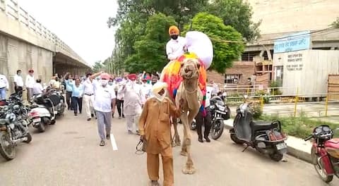 ਪ੍ਰਦਰਸ਼ਨਕਾਰੀਆਂ ਨੇ ਊਠ 'ਤੇ ਚੜ੍ਹ ਕੇ ਸਾੜੀ ਕੈਪਟਨ ਦੇ 'ਝੂਠੇ ਵਾਅਦਿਆਂ' ਦੀ ਪੰਡ, ਦੇਖੋ ਤਸਵੀਰਾਂ ਪ੍ਰਦਰਸ਼ਨਕਾਰੀਆਂ ਨੇ ਊਠ 'ਤੇ ਚੜ੍ਹ ਕੇ ਸਾੜੀ ਕੈਪਟਨ ਦੇ 'ਝੂਠੇ ਵਾਅਦਿਆਂ' ਦੀ ਪੰਡ, ਦੇਖੋ ਤਸਵੀਰਾਂ