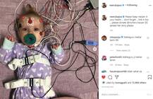 ਪੀੜਤ ਬੱਚੀ ਦੇ ਇਲਾਜ ਲਈ ਨੀਰੂ ਬਾਜਵਾ ਆਈ ਅੱਗੇ