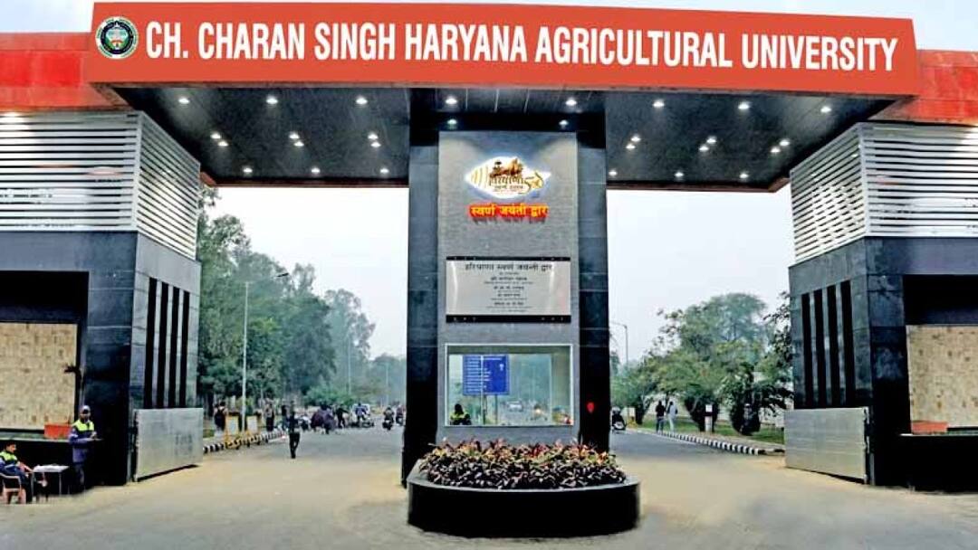 ਚੌਧਰੀ ਚਰਨ ਸਿੰਘ ਖੇਤੀਬਾੜੀ ਯੂਨੀਵਰਸਿਟੀ ਨੇ ਪੀਐਚਡੀ ਦਾਖਲਾ ਪ੍ਰੀਖਿਆ ਲਈ ਤਰੀਕ ਐਲਾਨੀ Admission Examinations Dates announced for Haryana Chaudhary Charan Singh Agricultural University, Hisar ਚੌਧਰੀ ਚਰਨ ਸਿੰਘ ਖੇਤੀਬਾੜੀ ਯੂਨੀਵਰਸਿਟੀ ਨੇ ਪੀਐਚਡੀ ਦਾਖਲਾ ਪ੍ਰੀਖਿਆ ਲਈ ਤਰੀਕ ਐਲਾਨੀ