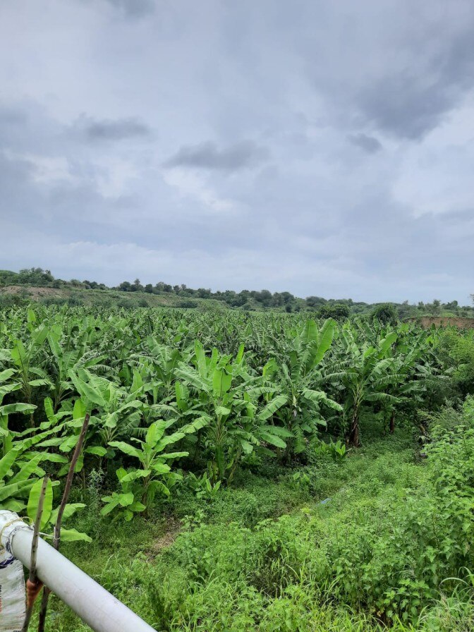 Farmer's Success Stoty: ਬਾਪ ਦੇ ਕੈਂਸਰ ਨਾਲ ਲੱਗਾ ਵੱਡਾ ਝਟਕਾ, ਫੇਰ ਸ਼ੁਰੂ ਕੀਤੀ ਨੈਚੂਰਲ ਖੇਤੀ,  ਅੱਜ ਕਮਾ ਰਿਹਾ ਸਾਲਾਨਾ 27 ਲੱਖ