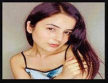 ਪੰਜਾਬ ਦੀ ਕੈਟਰੀਨਾ ਕੈਫ ਨੇ ਬਦਲਿਆ ਰੂਪ, ਨਹੀਂ ਹੋ ਰਹੀ ਪਛਾਣ 