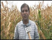 USA'ਚ ਲੱਖਾਂ ਦੀ ਨੌਕਰੀ ਛੱਡ ਭਾਰਤ ਪਰਤਿਆ ਸਾਫਟਵੇਅਰ ਇੰਜਨੀਅਰ, ਹੁਣ ਕਰ ਰਿਹਾ ਖੇਤੀ, ਆਖਰ ਕਿਉਂ?