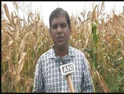 USA'ਚ ਲੱਖਾਂ ਦੀ ਨੌਕਰੀ ਛੱਡ ਭਾਰਤ ਪਰਤਿਆ ਸਾਫਟਵੇਅਰ ਇੰਜਨੀਅਰ, ਹੁਣ ਕਰ ਰਿਹਾ ਖੇਤੀ, ਆਖਰ ਕਿਉਂ?