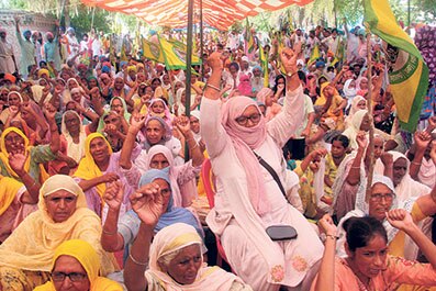 farmer protest against Agriculture Ordinance ਖੇਤੀ ਬਿੱਲਾਂ ਖਿਲਾਫ ਪੰਜਾਬ ਦਾ ਖੂਨ ਖੌਲਿਆ, ਔਰਤਾਂ ਤੋਂ ਲੈ ਕੇ ਬੱਚਿਆਂ ਤੱਕ ਸੰਘਰਸ਼ 'ਚ ਕੁੱਦੇ