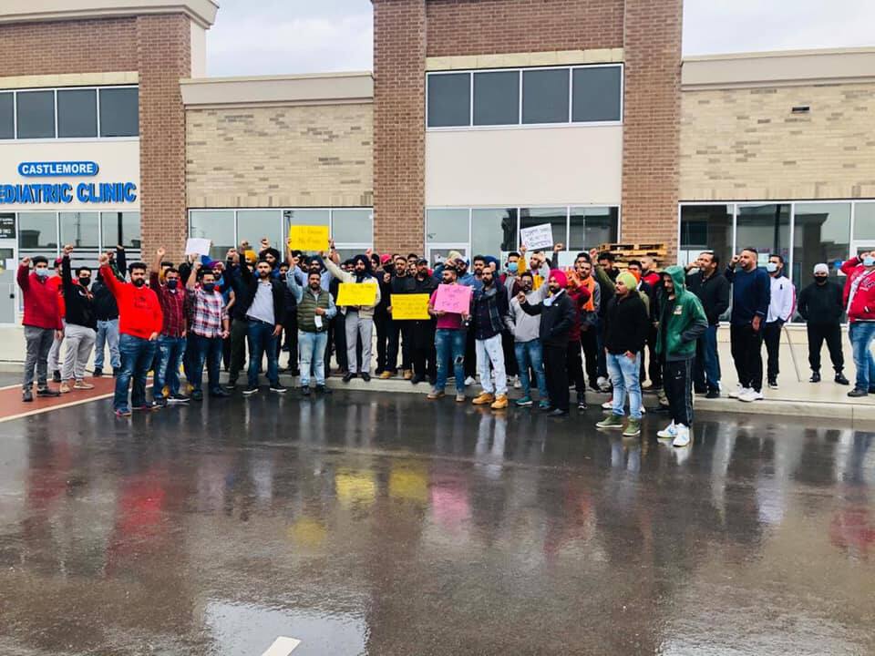 Canada Brampton Punjabi protest against agriculture acts in India ਵਿਦੇਸ਼ਾਂ 'ਚ ਪੰਜਾਬੀਆਂ ਵੱਲੋਂ ਕਿਸਾਨਾਂ ਦੇ ਹੱਕ 'ਚ ਝੰਡਾ ਬਰਦਾਰ