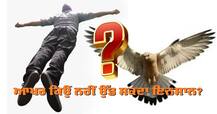 ਆਖਰ ਕਿਉਂ ਨਹੀਂ ਪੰਛੀਆਂ ਵਾਂਗ ਉੱਡ ਸਕਦਾ ਇਨਸਾਨ? ਜਾਣੋ ਕੀ ਨੇ ਇਸਦੇ ਕਾਰਨ