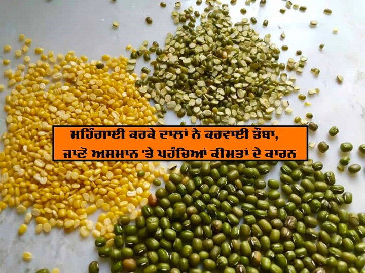 toor dal price hike for low supply and corona pandemic ਮੁਰਗੇ ਨਾਲੋਂ ਮਹਿੰਗੀ ਗਰੀਬਾਂ ਦੀ ਦਾਲ? 25-30 ਰੁਪਏ ਵਧਿਆ ਭਾਅ